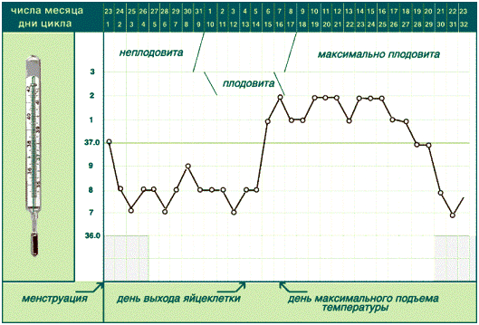 Basaltemperatur 02