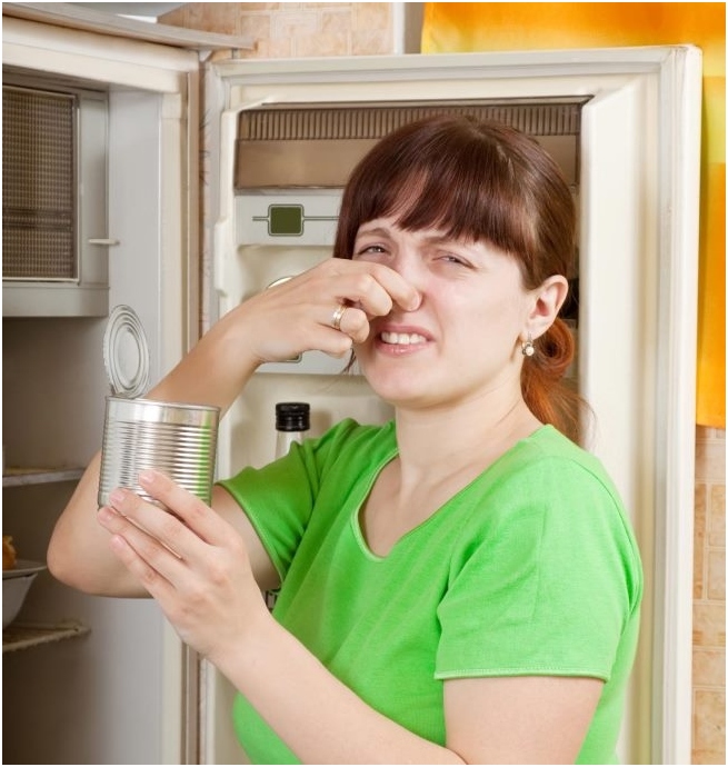 So entfernen Sie den Geruch des Kühlschranks? Was könnte der Geruchsgründen im Kühlschrank sein?? 01