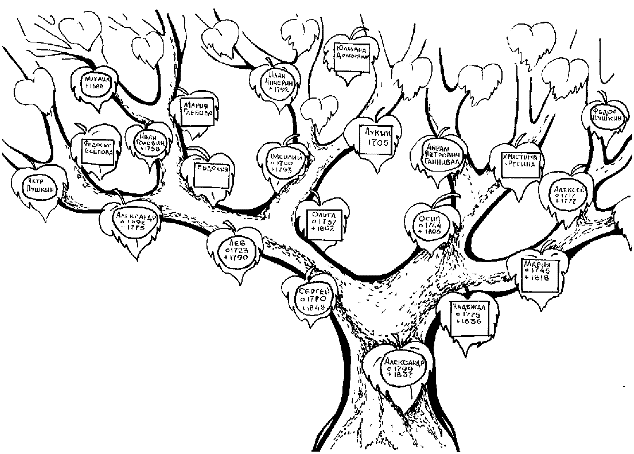 Wie zeichnet man einen Baum: Schritt-für-Schritt-Tipps. Wie zeichnet man einen Genealogie-Baum?? 03