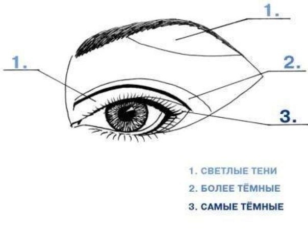 Wie man Augen mit Schatten malen? Arten von Schatten und Methoden zur Bewerbung 05