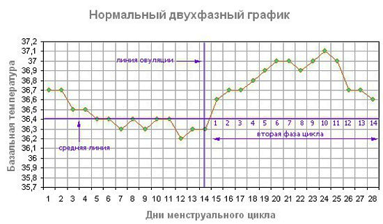 So messen Sie die Basaltemperatur, um die Schwangerschaft und den Eisprung durch ein normales Thermometer zu bestimmen? 04