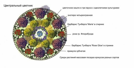 Blumenbeet von kontinuierlichen blühenden Stauden für Anfänger - Tipps, Schemata 08