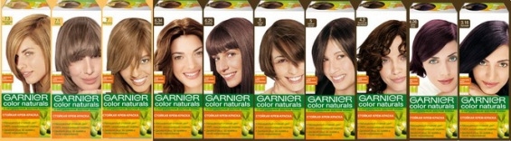 Haarfarbenpalette (Garnier) 10