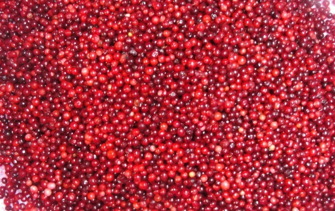 So speichern Sie eine Lingonberry? 02