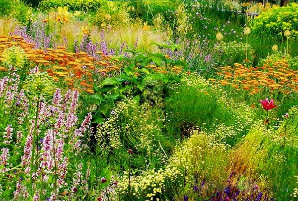 Unprätentiöse Blumen zum Geben. Schöne Blumenbeete jede Saison! 01