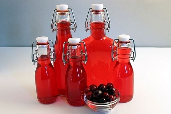 Cranberry-Tinktur auf Alkohol: Rezept kochen 01