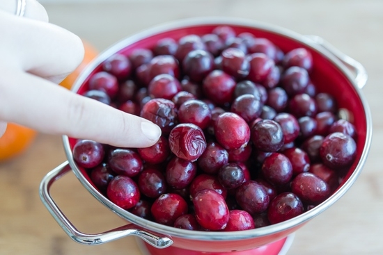 Cranberry-Tinktur auf Alkohol: Rezept kochen 04