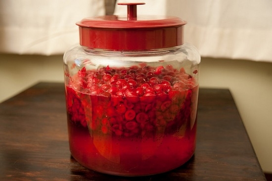 Cranberry-Tinktur auf Alkohol: Rezept kochen 09