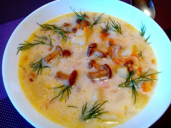 Pilzsuppe mit geschmolzenem Käse: Rezepte mit Champignons und anderen Pilzen 03