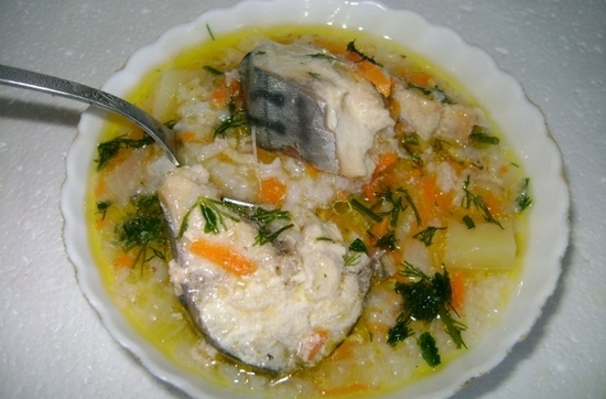 Fischsuppe aus frischmattem Makrelen: Rezepte mit Fotos 07