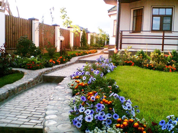 Blumen von den Jährlichen. Kontinuierliche blühende blühende Klumpenschemata für jeden Garten 03