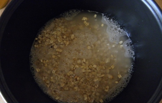 Haferflocken in einem langsamen Kocher: Die besten Rezepte zum Kochen von Wasser und Milch 07