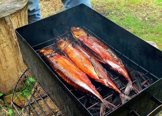 Wie man Fisch in Rauch raucht: Technologie, nützliche Tipps 02