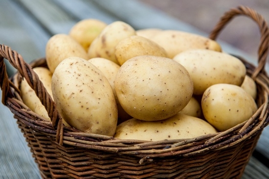 Wie braten Sie Kartoffeln in einer Pfanne?? Wie man es köstlich mit Pilzen brät, mit Zwiebeln? 01