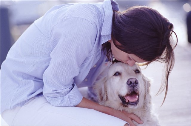 Was tun, wenn der Hund mit den Augen gefüttert wird? Ursachen, Behandlung und Grundlagen der Erste Hilfe 01