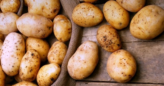 Fleisch mit Kartoffeln im Ofen - in Töpfen und im Gegenteil. Wie man Fleisch auf Französisch kocht, Zucchini mit Fleisch und Kartoffeln? 01