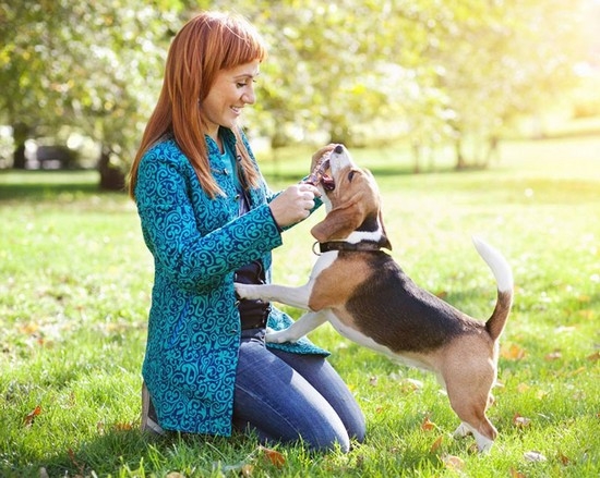 Kappen der Hundejungen: Volksnamen für Hirten, Jagd und kleine Rassen 01