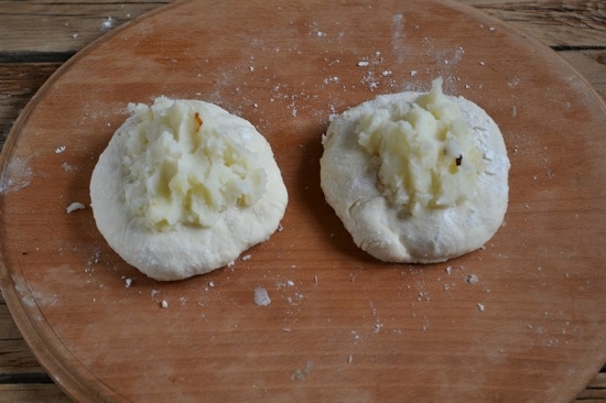 Pies mögen Flusen auf Kefir: Rezepte Gebratenes und Bremsenbacken 06