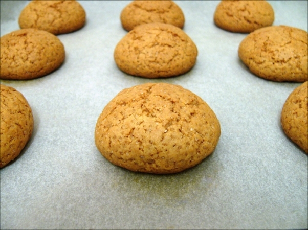 Honig-Lebkuchen. Klassische Rezepte und Originalversionen für jeden Geschmack 04