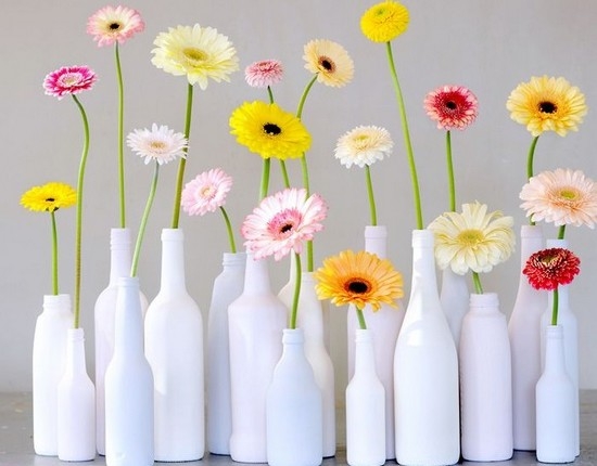 Gerbera in einem Pot: Wie kümmere ich mich um eine Blume?? 06