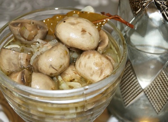 Marinierte Champignons zu Hause Fast Vorbereitungen und für den Winter: Eine Auswahl der besten Rezepte 02