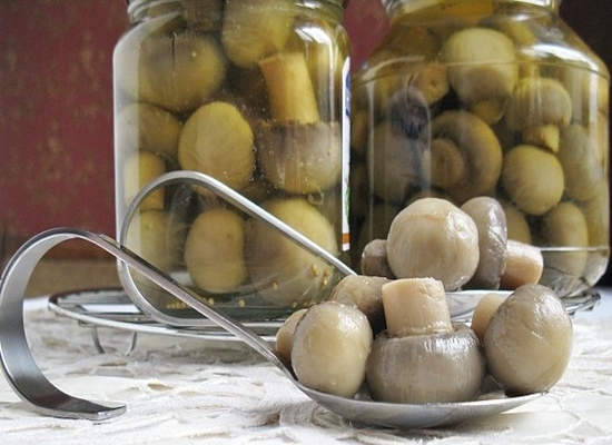 Marinierte Champignons zu Hause Fast Vorbereitungen und für den Winter: Eine Auswahl der besten Rezepte 06