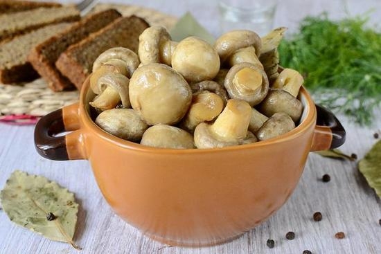 Marinierte Champignons zu Hause Fast Vorbereitungen und für den Winter: Eine Auswahl der besten Rezepte 14