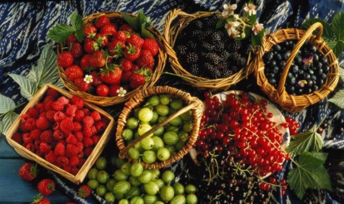 Waldbeeren Jam. Rezepte und Funktionen verschiedener Kochtechnologien 02