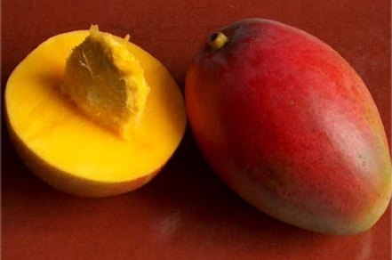 Wie pflanze ich Mango?? Wie man Mango-Knochen anbauen kann? 02