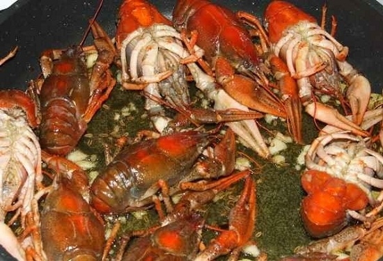 Wie kochen Sie Crayfish zu Hause richtig?? Rezepte für echte Gourmet 14