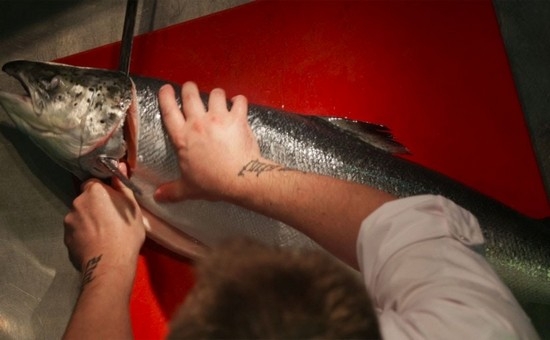 Wie man zu Haviar Trout und Forelle selbst zu Hause begrüßt: leckere und schnelle Rezepte 10