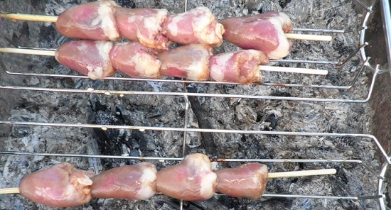 Hühnerheizspieße: Beste Kochrezepte auf Mangal, Park und Backofen 05