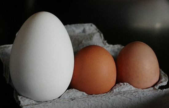 Wie viel Zeit kochen Hühnchen, Wachtel und andere Eier? 06