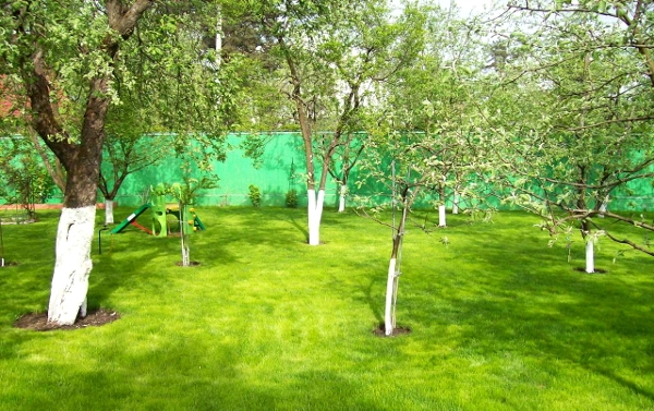 Gartenverarbeitung von den Schädlingen im Frühjahr. Hauptwege 01