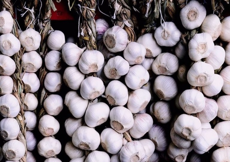 Als Knoblauch im Frühling zu füttern? Grundregeln für den oberen Dressing-Knoblauch 03