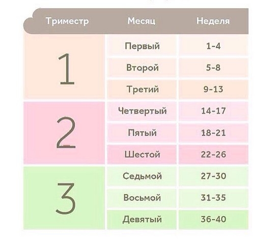 Von welchen woche 3-Trimester der Schwangerschaft beginnt? Das dritte Trimester ist wie viele Wochen? 02