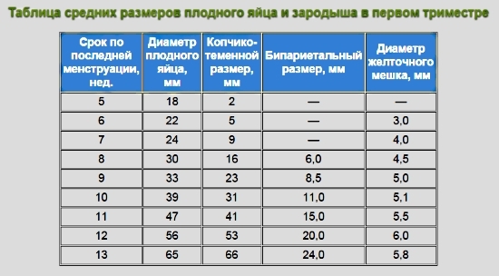 Embryo-Größe für Wochen: Tabellen mit Beschreibung. So ermitteln Sie die Größe des Fötus für Schwangerschaftswochen mit Ultraschall? 07