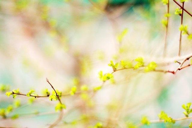 Was bedeutet dein Garten?? Teil 2 02