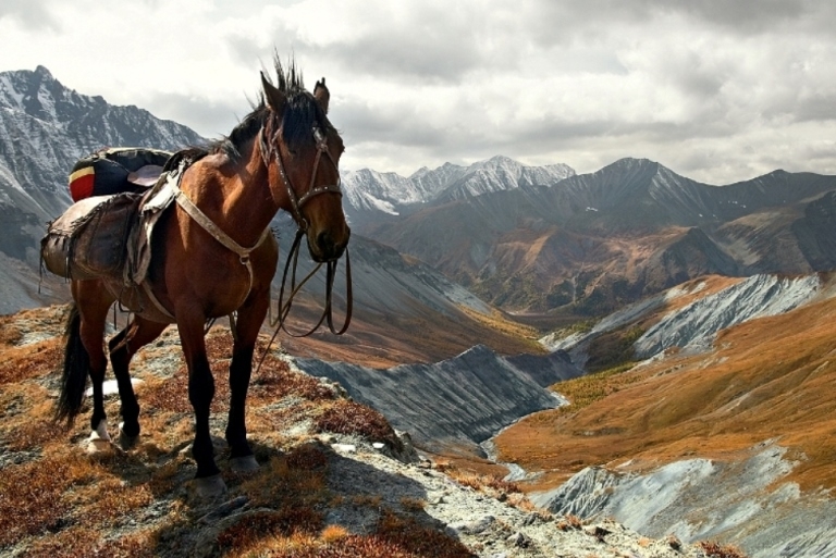 Berg Altai: wohin gehen soll? Auswahl der touristischen Route 01