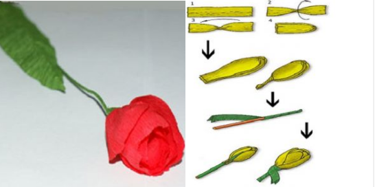 Wellpapier-Tulpen und Blumensträuße: Meisterklasse des Herstellers Tun Sie es selbst 06