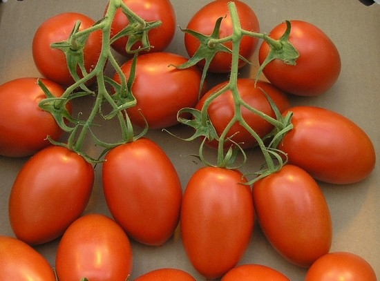 Tomaten für Gewächshäuser aus Polycarbonat: Sorten, Bewertungen und Agronomspitzen 02