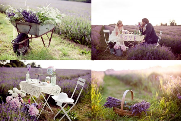 Provence-Hochzeit. Merkmale des Dekors und der Feier 07