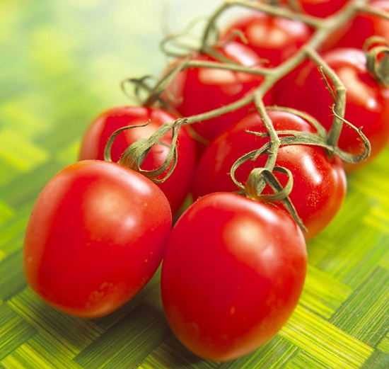 Top Sorten Tomaten für das Gewächshaus aus Polycarbonat. Bewertungen Ogorodnikov 01