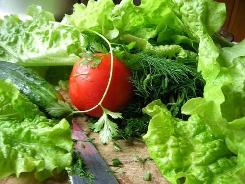 Ernährungssommersalat 02