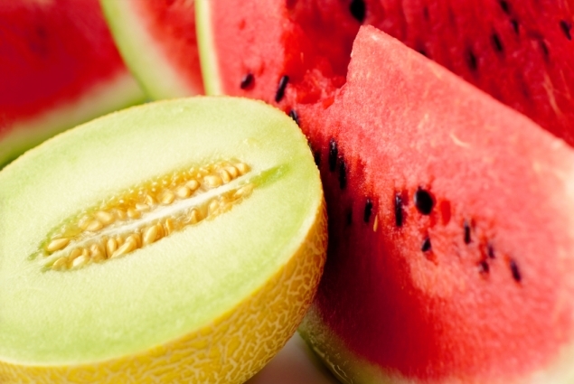 Wachsende Melone auf der mittleren Spur im offenen Boden 01