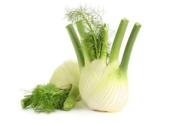 Fenchel: Wachsen von Samen, Pflanzen und Pflege 03