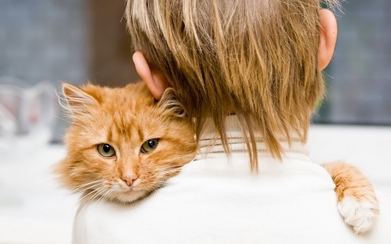 Trockener allergischer Husten in einem Kind: Symptome und Behandlung 02