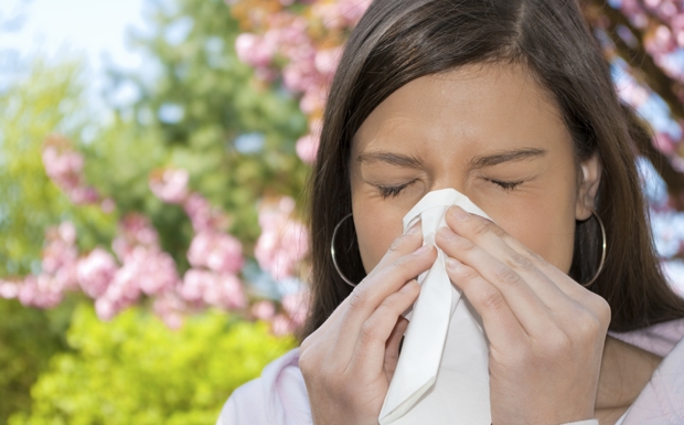 Allergie zur Blüte: Symptome und Behandlung der Krankheit 01