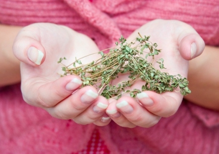 Wie man Zystitis heilen kann? Behandlung von Zystitis bei Frauen 04