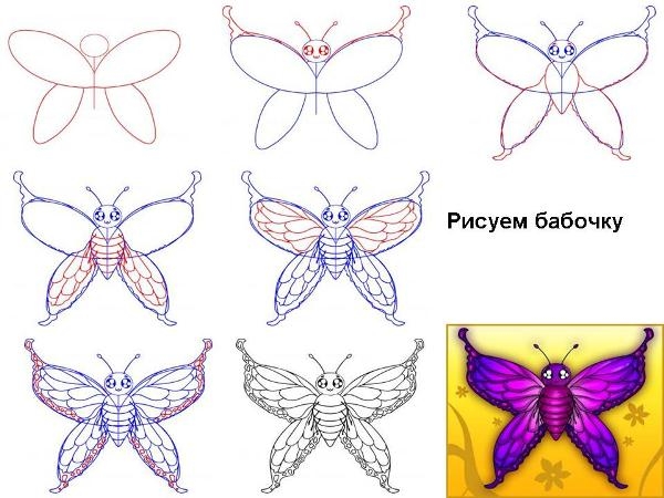 Wie zeichnet man Schmetterling?? Einfache Tipps für Anfänger 06